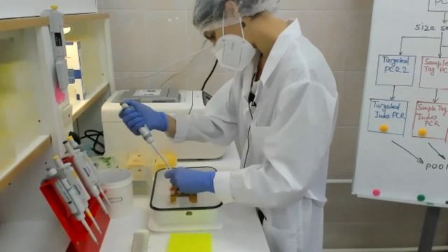 Практикум BD Rhapsody Single Cell Analysis. День 2-й смотреть онлайн