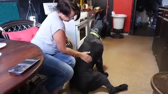 ласки и тисканья.