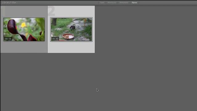 Lightroom 4 Beta: Video Editing | смотреть онлайн