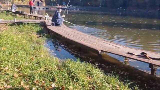Поимки форели на основных водоёмах. Клёвое место Лосиный остров. смотреть онлайн