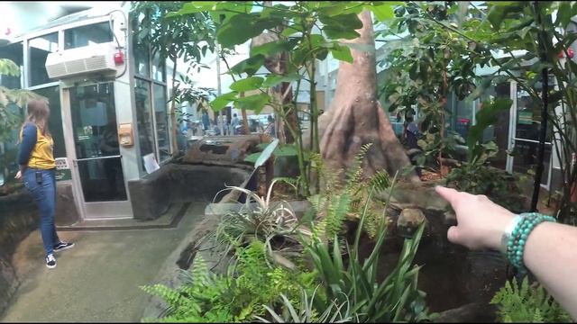 Dinosaurs, Butterflies, and Pineapple, OH MY! | NC Museum of Natural Sciences смотреть онлайн