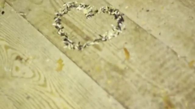 Братиша Притих 2 смотреть онлайн