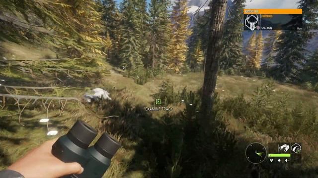 Best Location For Elk? | TheHunter: Call Of The Wild 2020