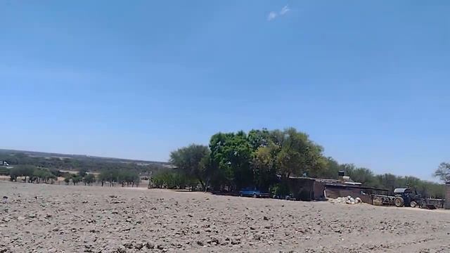 RECORRIENDO LOS CAMPOS DE AGAVE AZUL EN JALISCO 🇲🇽 HACIENDA LOS TUCEROS смотреть онлайн