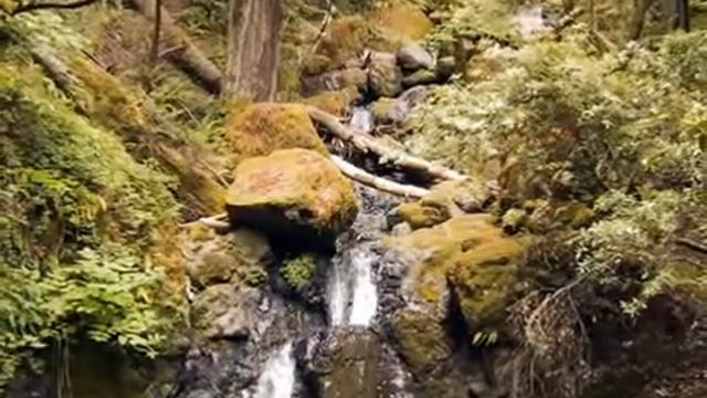 Dust in The Wind Kansas tradução смотреть онлайн