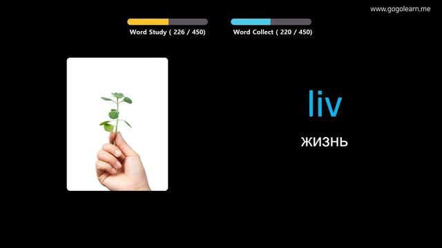 Выучить норвежский язык через картинки |норвежский язык словарь Начальная школа | Golearn смотреть онлайн