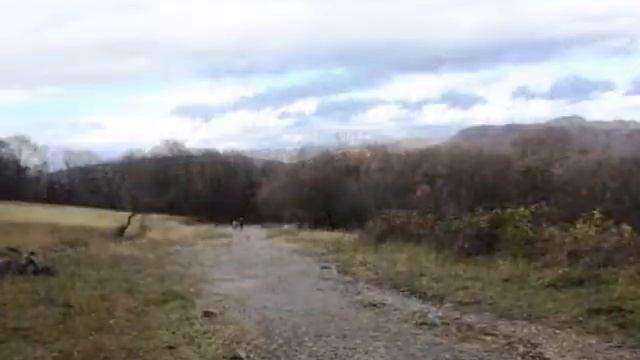 Осень рыжая подружка смотреть онлайн