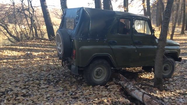 Упавшее дерево не преграда для УАЗа . смотреть онлайн