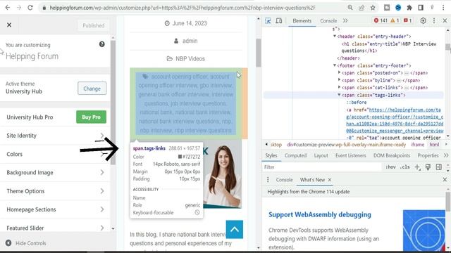 How to hide tags in wordpress post | wordpress | wordpress post tags | remove post tags смотреть онлайн