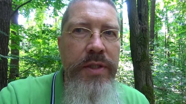 Сколько раз в день надо выходить на природу, чтобы переломить хронические болезни? смотреть онлайн