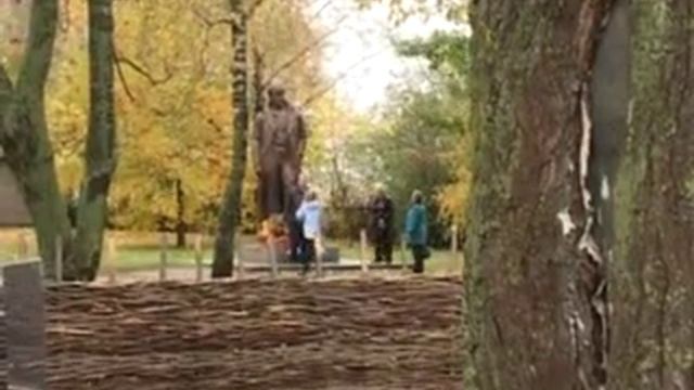Деревья - памятники живой природы. Рязанская область. смотреть онлайн