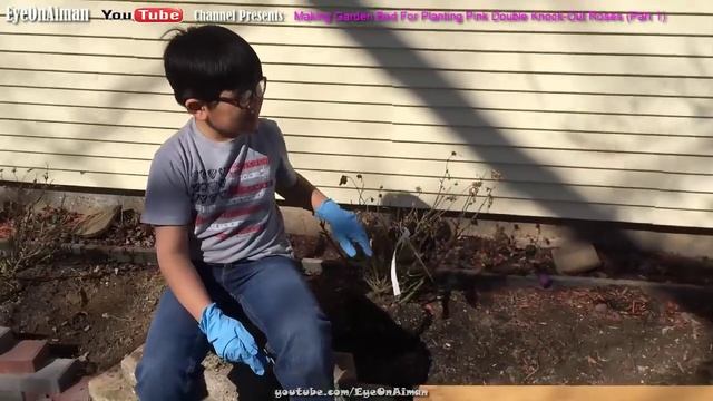 Making Garden Bed For Planting Pink Double Knock-Out Roses (Part 1): Simple Gardening Ideas By Aima смотреть онлайн