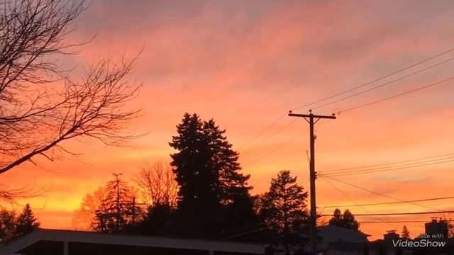 11/14/18 Bright Red Sky bright white Sim смотреть онлайн