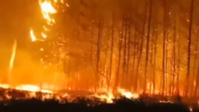 СОҢҒЫ 10 ЖЫЛДА ҚАЗАҚТАРДЫ ҚЫРЫП ЖІБЕРЕ ЖАЗДАҒАН АПАТТАР | Елімізде болған ең сұмдық апаттар смотреть онлайн