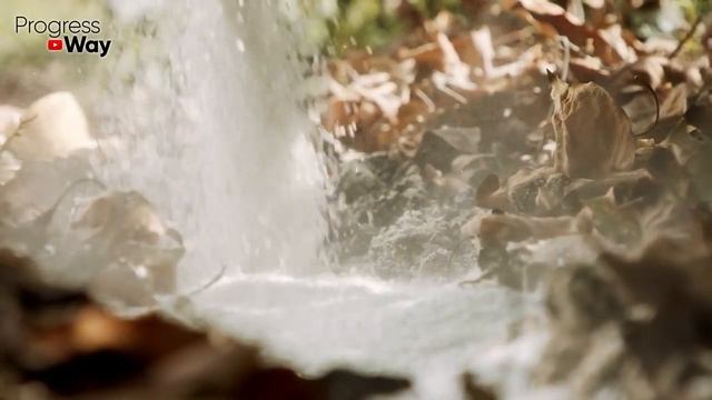 Эта 1 Ложка Осенью Заменит 100 Удобрений! Осенью Сыпать Под Все Растения! смотреть онлайн