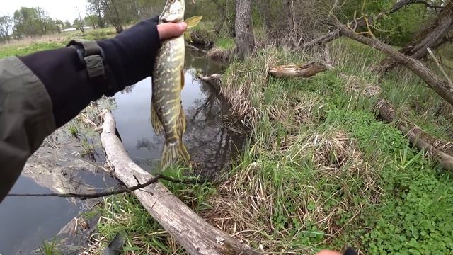Ловля ЩУКИ на ДЖИГ РИГ с берега, оснастка и монтаж смотреть онлайн