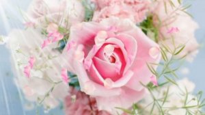 С днем рождения, Алена! Музыкальная открытка.