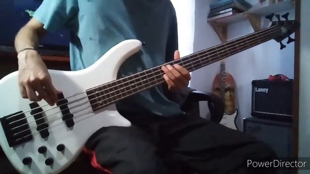 The Pineapple Thief - Whatever You Do, Do Nothing (Bass Cover) смотреть онлайн