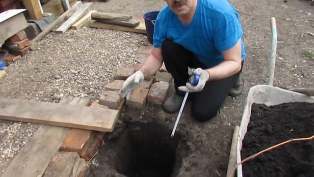 Виноград. (внеплановая пересадка )