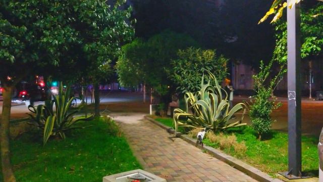 ДУШЕВНЫЙ ХОСТЕЛ ЗА 10 ТЫСЯЧ РУБЛЕЙ В МЕСЯЦ С ЧЕЛОВЕКА В БАТУМИ 18 ДЕКАБРЯ 2022 смотреть онлайн