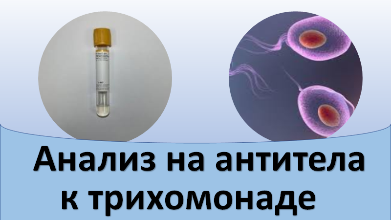 Анализ крови на трихомониаз смотреть онлайн