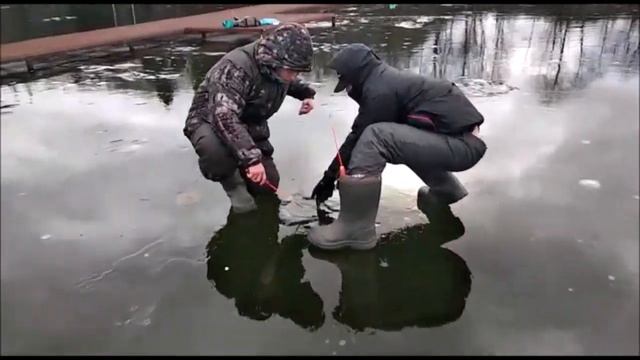 Клёвое место д.Савельево .3 сектор ! Поимки продолжаются ! смотреть онлайн