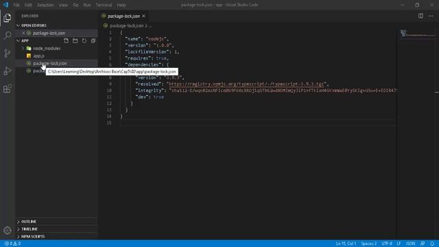 21. Introducción a Node JS - Package lock json смотреть онлайн