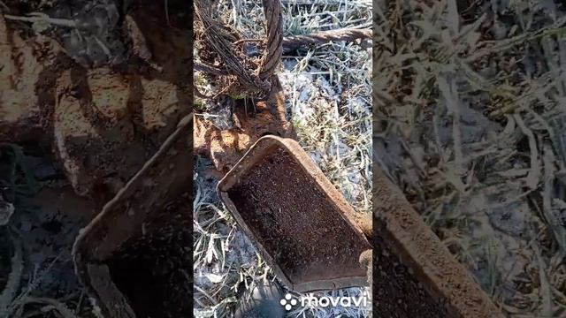 Металлокоп с Квест х 10 про . -7 градусов. смотреть онлайн