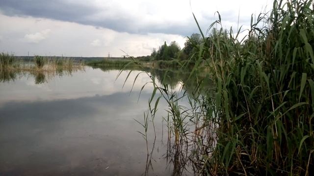 Fishing Kursk рыбалка на Золоотвале в курске смотреть онлайн