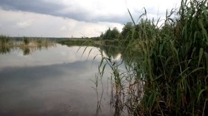 Fishing Kursk рыбалка на Золоотвале в курске