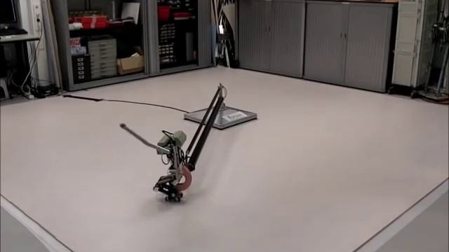 TU Delft robot Leo learns to walk смотреть онлайн