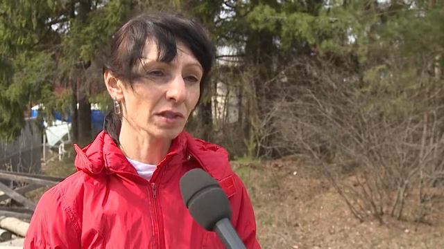 Волонтеры Пристрой собаки 19 05 смотреть онлайн