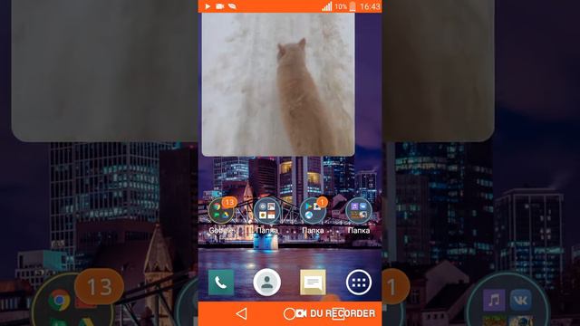 Куда идёт мой кот на улице? смотреть онлайн