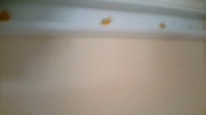 Монтаж кабель-канала монтажным пистолетом TOUA GSN50