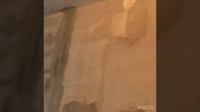 ВСЯ ПРАВДА О НЕВСКОМ РАЙОНЕ! смотреть онлайн