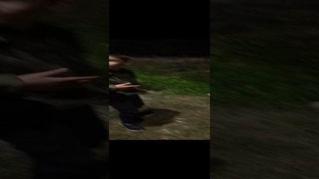 сын покормил лису печеньем 🍪