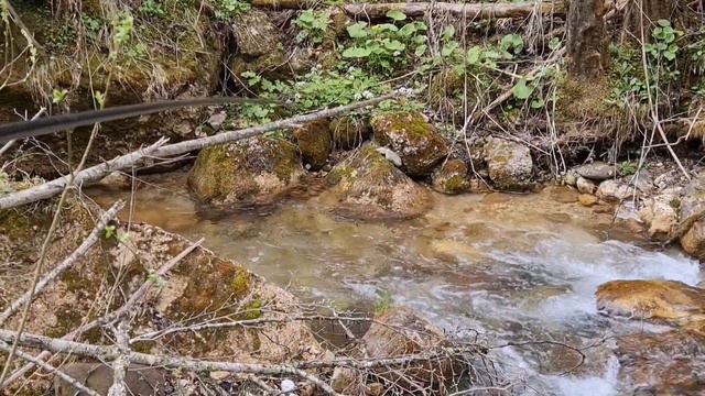 Рыбалка в КБР # Trout fishing 🎣 смотреть онлайн