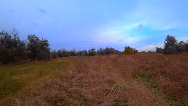 Охота на ФАЗАНА с ружьём Ata Arms SP Blak!! Норму взял!! С полем!!! смотреть онлайн