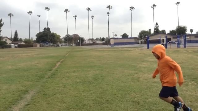 Never Eat Soggy Waffles