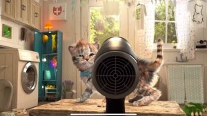 Мой маленький котик в Little Kitten | Игра для детей My Favorite Cat Little Kitten