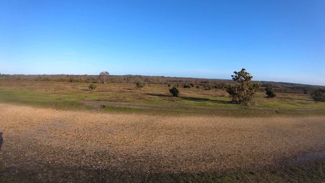 NEW FOREST WALK at LYNDHURST (BOLTON'S BENCH) (NEW FOREST NATIONAL PARK) смотреть онлайн