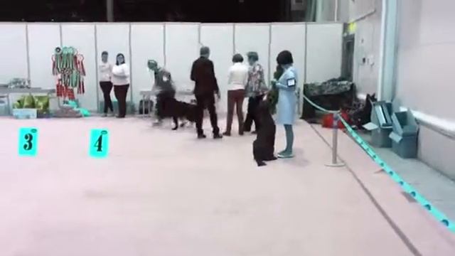 Моно флэтов новосибирск 22.01.2017 смотреть онлайн