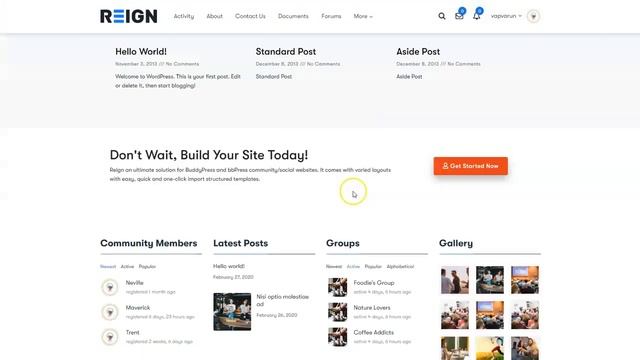 How to Set Homepage? Reign BuddyPress Theme смотреть онлайн