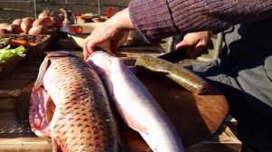 Приготовление обеда на природе Азербайджанская Кухня Деревенская Кухня  Рецепты