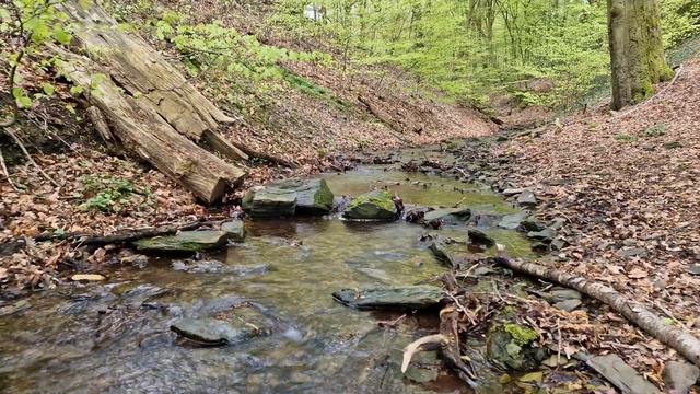 Звуки природы - Приятный шум ручья и пение птиц для нервов, отдыха и сна - Звуки природы. смотреть онлайн