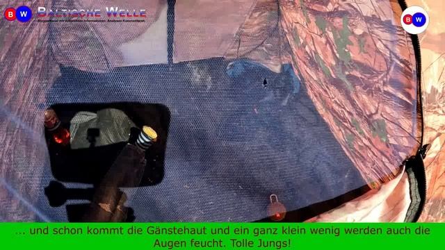 Erichowitsch und die Ameisen auf dem Rücken смотреть онлайн