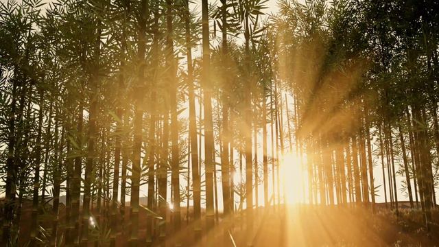 Wyld Bikes Crowd Funding Campaign смотреть онлайн