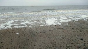 Суточный поход на берега белого моря, ловим камбалу, навагу и отдыхаем от городских будней.