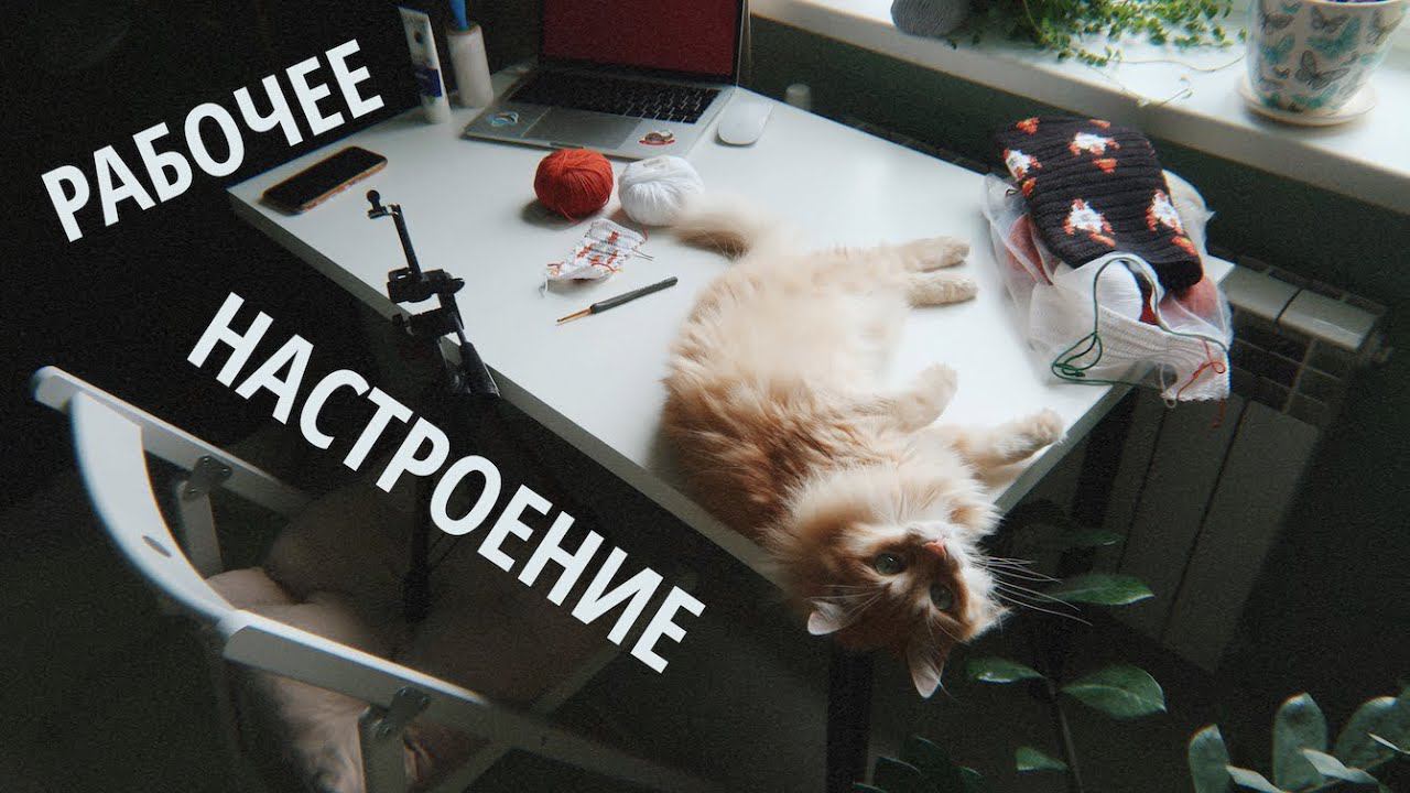 Снимаю мастер-класс | сделала магазин на WildBerries смотреть онлайн