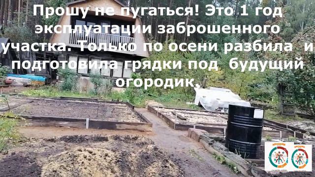 Как вырастить хороший лук смотреть онлайн